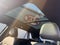 2025 Volkswagen Atlas Cross Sport 2.0T SEL R-Line Black