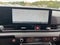 2027 Kia Carnival SX